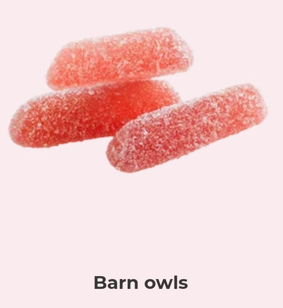 Barn owls - per 100 grams